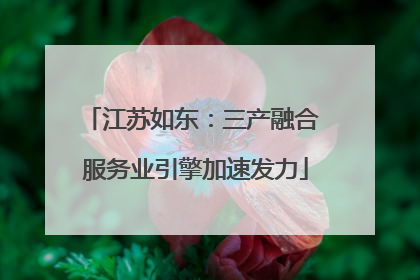 江苏如东：三产融合 服务业引擎加速发力