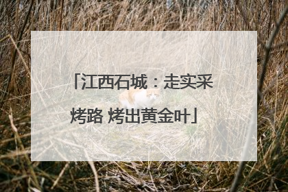 江西石城：走实采烤路 烤出黄金叶