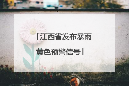 江西省发布暴雨黄色预警信号