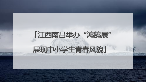 江西南昌举办“鸿鹄展” 展现中小学生青春风貌