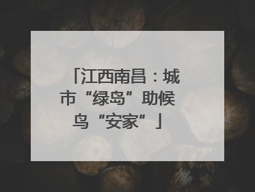江西南昌：城市“绿岛”助候鸟“安家”