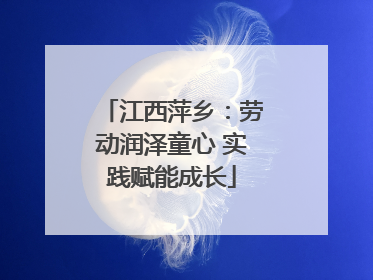 江西萍乡：劳动润泽童心 实践赋能成长