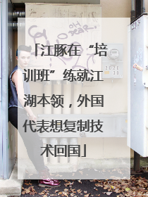 江豚在“培训班”练就江湖本领，外国代表想复制技术回国