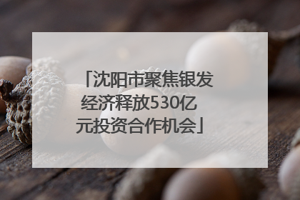 沈阳市聚焦银发经济释放530亿元投资合作机会