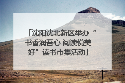 沈阳沈北新区举办“书香润吾心 阅读悦美好”读书市集活动