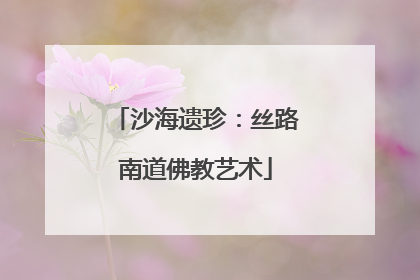 沙海遗珍：丝路南道佛教艺术