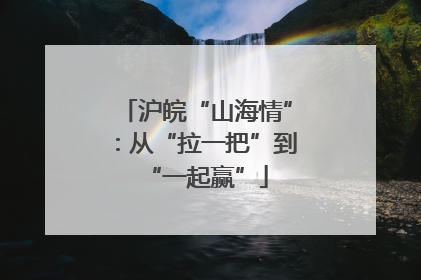 沪皖“山海情”：从“拉一把”到“一起赢”
