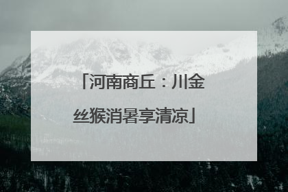 河南商丘：川金丝猴消暑享清凉