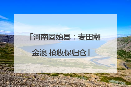河南固始县：麦田翻金浪 抢收保归仓