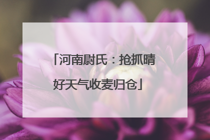 河南尉氏：抢抓晴好天气收麦归仓