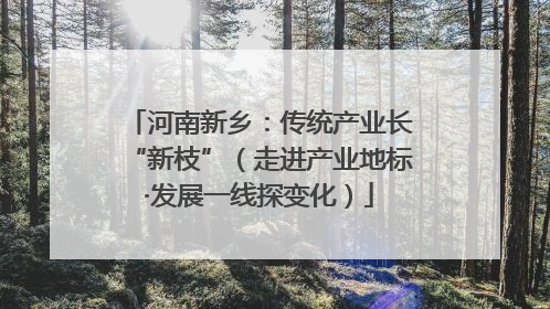 河南新乡：传统产业长“新枝”（走进产业地标·发展一线探变化）