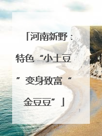 河南新野：特色“小土豆”变身致富“金豆豆”