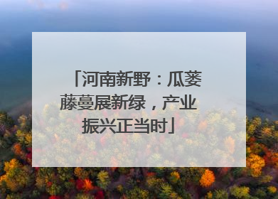 河南新野：瓜蒌藤蔓展新绿，产业振兴正当时