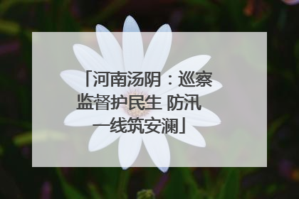 河南汤阴：巡察监督护民生 防汛一线筑安澜