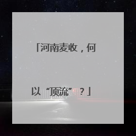 河南麦收，何以“顶流”？