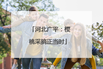河北广平：樱桃采摘正当时