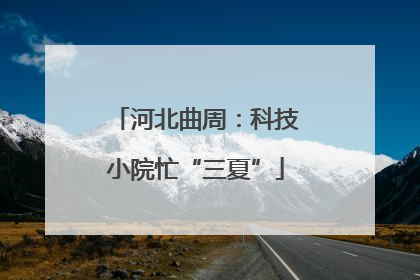 河北曲周：科技小院忙“三夏”