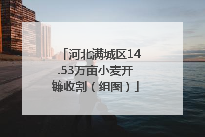 河北满城区14.53万亩小麦开镰收割（组图）