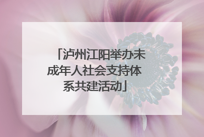 泸州江阳举办未成年人社会支持体系共建活动