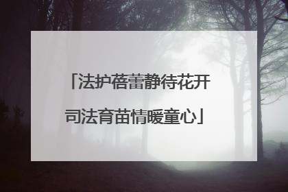 法护蓓蕾静待花开 司法育苗情暖童心