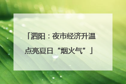 泗阳：夜市经济升温 点亮夏日“烟火气”