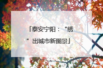 泰安宁阳：“绣”出城市新图景