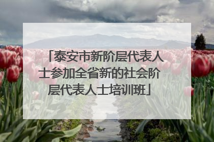 泰安市新阶层代表人士参加全省新的社会阶层代表人士培训班