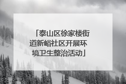 泰山区徐家楼街道新峪社区开展环境卫生整治活动