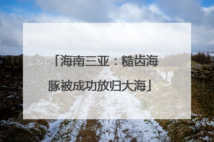 海南三亚：糙齿海豚被成功放归大海
