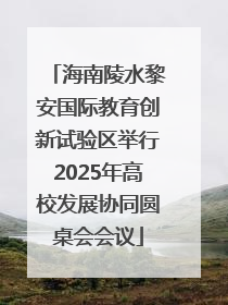 海南陵水黎安国际教育创新试验区举行2025年高校发展协同圆桌会会议