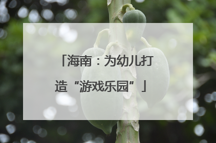 海南：为幼儿打造“游戏乐园”