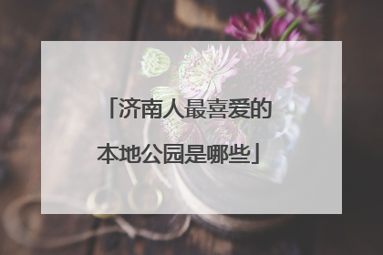 济南人最喜爱的本地公园是哪些