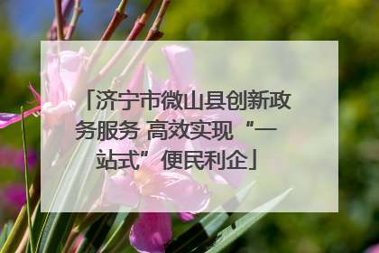 济宁市微山县创新政务服务 高效实现“一站式”便民利企