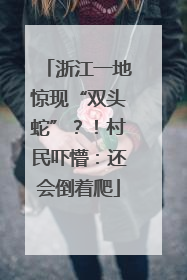 浙江一地惊现“双头蛇”？！村民吓懵：还会倒着爬