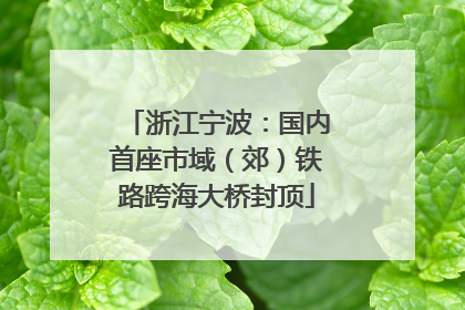 浙江宁波：国内首座市域（郊）铁路跨海大桥封顶