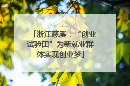 浙江慈溪：“创业试验田”为新就业群体实现创业梦