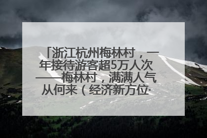 浙江杭州梅林村，一年接待游客超5万人次——梅林村，满满人气从何来（经济新方位·农村消费观察）