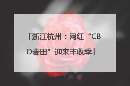 浙江杭州：网红“CBD麦田”迎来丰收季