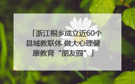 浙江桐乡成立近60个县域教联体 做大心理健康教育“朋友圈”