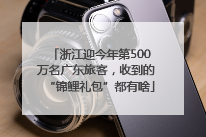 浙江迎今年第500万名广东旅客，收到的“锦鲤礼包”都有啥