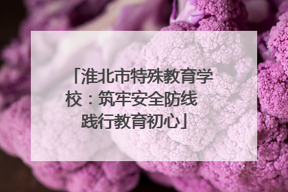 淮北市特殊教育学校：筑牢安全防线 践行教育初心