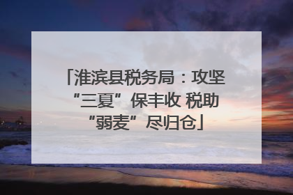 淮滨县税务局：攻坚“三夏”保丰收 税助“弱麦”尽归仓