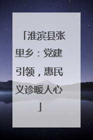 淮滨县张里乡：党建引领，惠民义诊暖人心