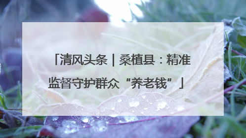 清风头条｜桑植县：精准监督守护群众“养老钱”