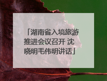 湖南省入境旅游推进会议召开 沈晓明毛伟明讲话