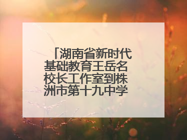 湖南省新时代基础教育王岳名校长工作室到株洲市第十九中学开展研修活动