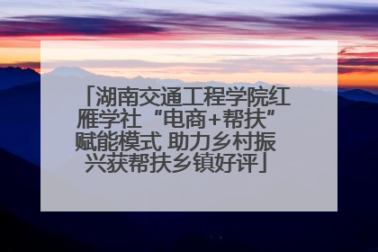 湖南交通工程学院红雁学社“电商+帮扶”赋能模式 助力乡村振兴获帮扶乡镇好评
