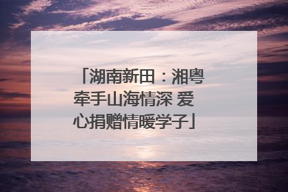 湖南新田：湘粤牵手山海情深 爱心捐赠情暖学子