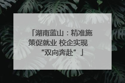湖南蓝山：精准施策促就业 校企实现“双向奔赴”