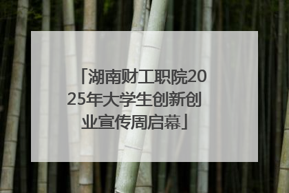 湖南财工职院2025年大学生创新创业宣传周启幕